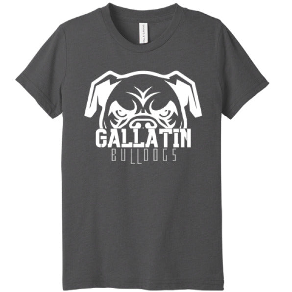 Solid Dark Grey Triblend - FRONT